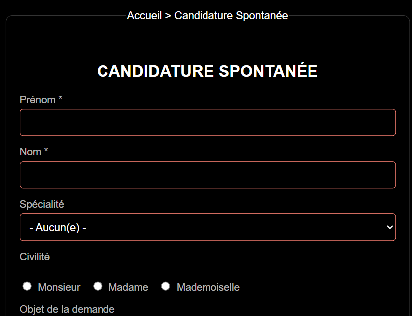 Aperçu du projet Formulaire de candidature dynamique en JavaScript